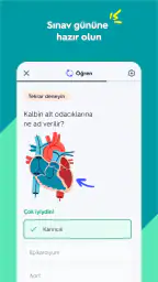 Quizlet: Yapay Zeka ile öğren 3
