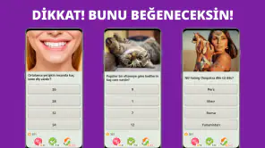 QuizzLand: Trivia Test Oyunu screenshot