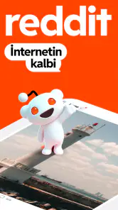Reddit screenshot