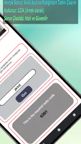 Renault Radyo Kodu screenshot