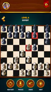Satranç - Çevrimdışı Oyun screenshot