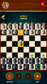 Satranç - Çevrimdışı Oyun screenshot