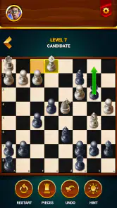 Satranç - Çevrimdışı Oyun screenshot
