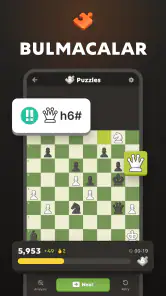 Satranç · Oyna & Öğren screenshot