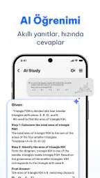Seekee - AI Arama ve Asistan 5