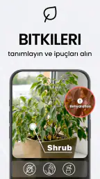 TapScanner - PDF Tarayıcı 4