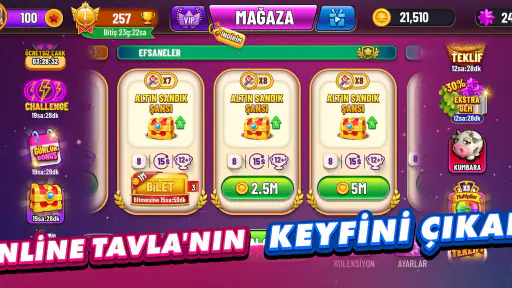 Tavla Plus - Backgammon Plus 1