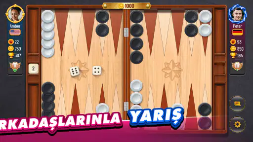 Tavla Plus - Backgammon Plus 5