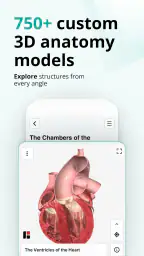 Teach Me Anatomy 3