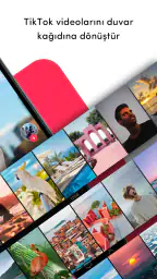 TickTock-TikTok Live Wallpaper 2