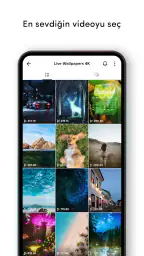 TickTock-TikTok Live Wallpaper 4