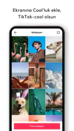TickTock-TikTok Live Wallpaper 5