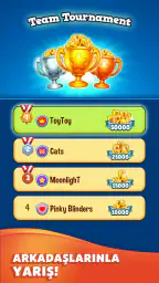 Toy Blast 7