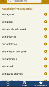 Türkçe Sözlük screenshot