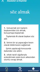 Türkçe Sözlük screenshot