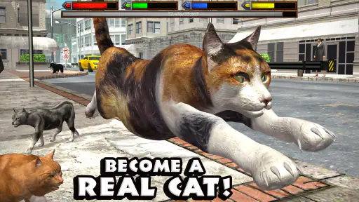 Ultimate Cat Simulator 1