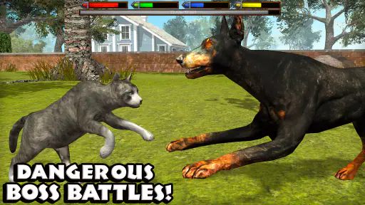 Ultimate Cat Simulator 5