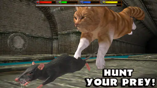 Ultimate Cat Simulator 7