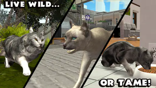Ultimate Cat Simulator 8