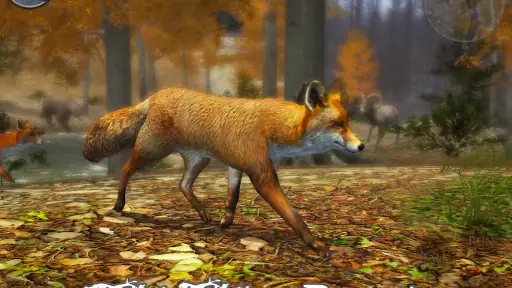Ultimate Fox Simulator 2 6