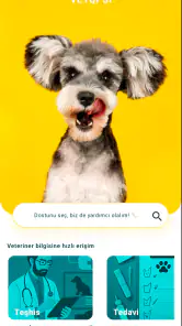 Vetopsi screenshot
