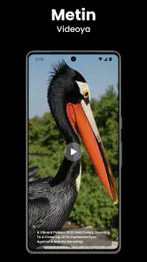 Video AI - Sarılma ve Öpücük screenshot