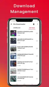 Video Downloader for Pinterest screenshot
