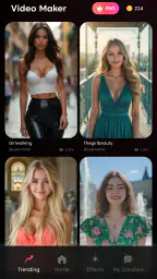 Vividly AI : AI Video Maker 4