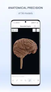VOKA 3D Anatomy & Pathology screenshot