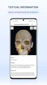 VOKA 3D Anatomy & Pathology screenshot