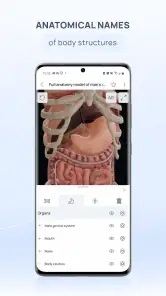 VOKA 3D Anatomy & Pathology screenshot