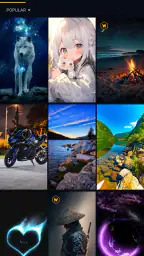 Wallcraft – Duvar kağıtları HD 8