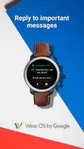 Wear OS by Google screenshot