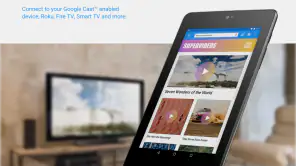 Web Video Cast screenshot