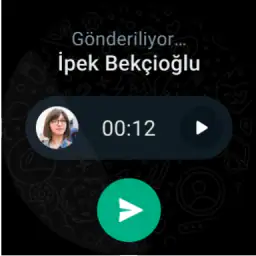 WhatsApp Messenger 8