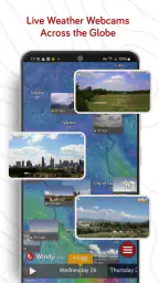 Windy.com - Hava tahmini 7