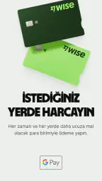 Wise 3