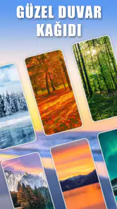 Word Scenery: Kelime Oyunu screenshot
