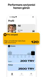 Yandex Pro 4