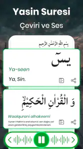 Yasin Suresi Ses Çevrimdışı screenshot