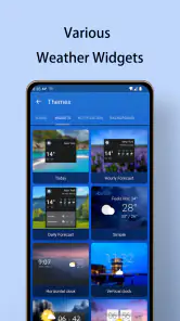Yerel Hava Tahmini - Radar screenshot