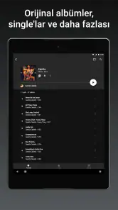 YouTube Music screenshot