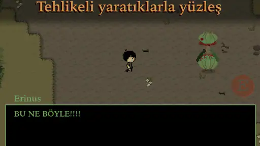 Zümrüt Çiçeği 5