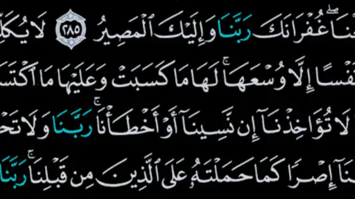القرآن الكريم كامل بدون انترنت 4