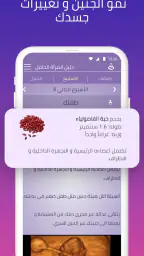 دليل حملي 3
