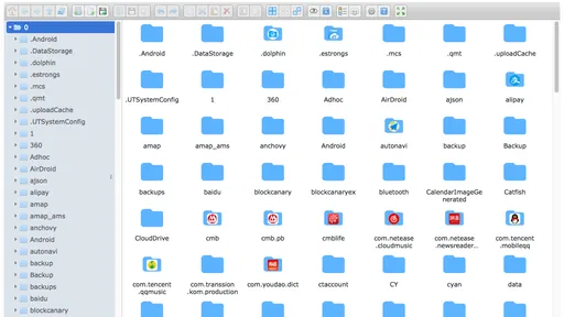 FV File Manager 8