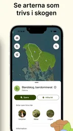 Hitta Skog: Svamp och Bär 3