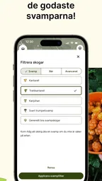 Hitta Skog: Svamp och Bär 4