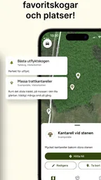 Hitta Skog: Svamp och Bär 7