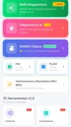 NANDA 2024 Diagnósticos IA 2